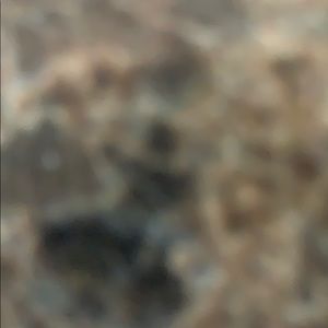 Meet your Posher, Lib